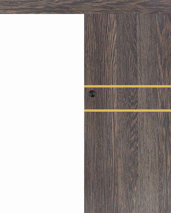 Posuvné dveře na stěnu VASCO Doors - REGO 2