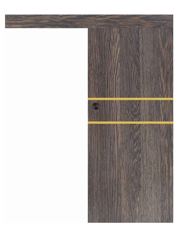 Posuvné dveře na stěnu VASCO Doors - REGO 2