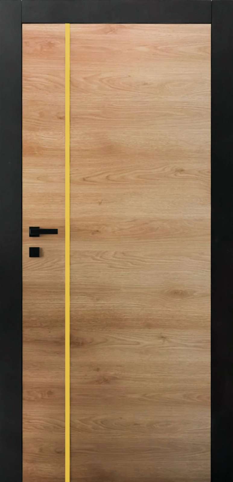 Interiérové dveře VASCO Doors - NERO GT 3