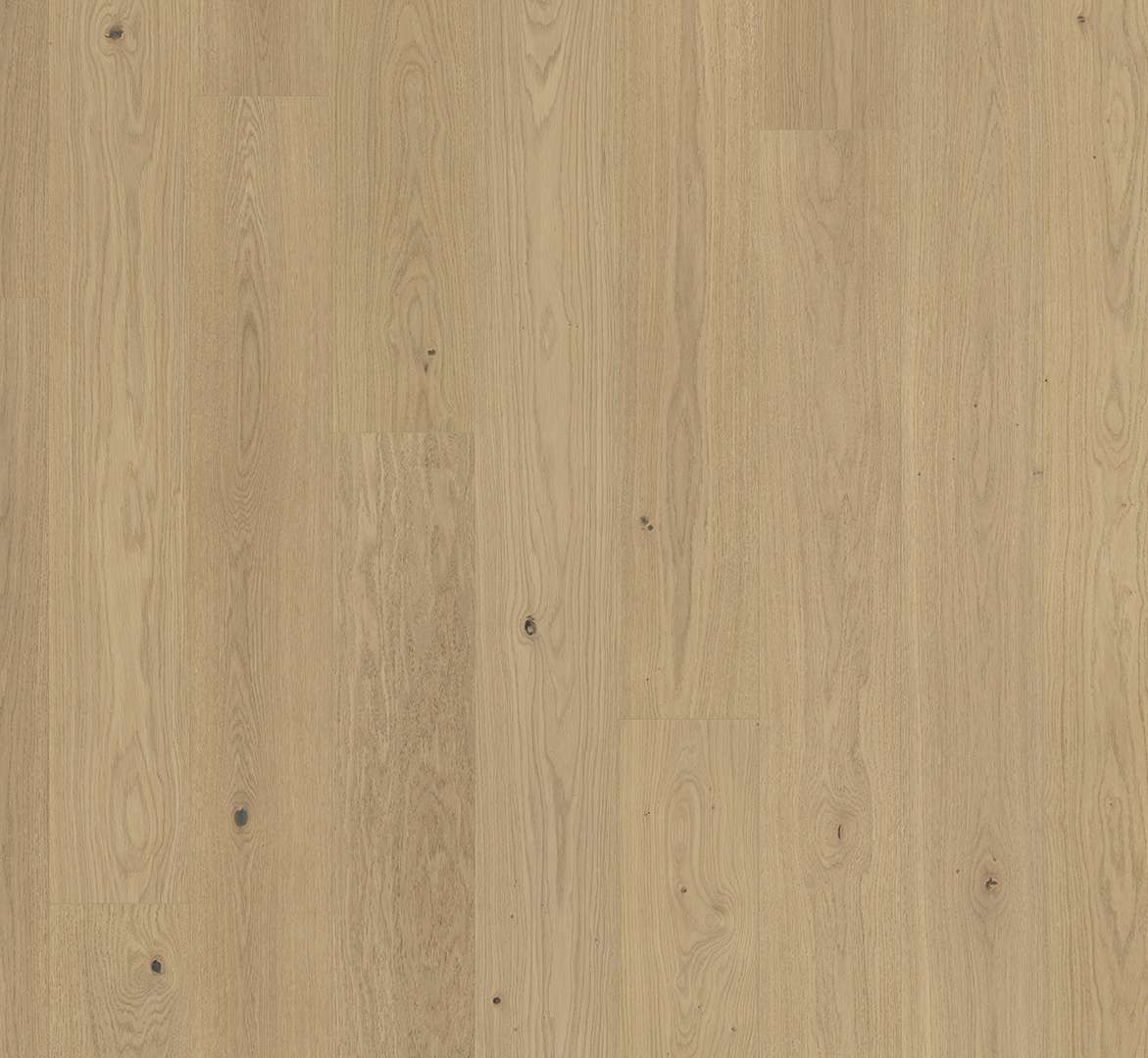 PARADOR Classic 3060 (Dub sanded - Natur - lak) 1744433 - dřevěná třívrstvá podlaha