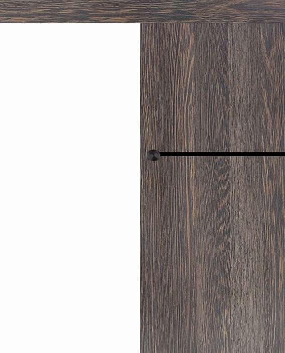 Posuvné dveře na stěnu VASCO Doors - REGO 1