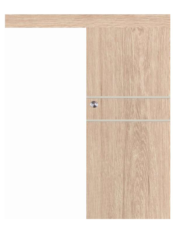 Posuvné dveře na stěnu VASCO Doors - REGO 2