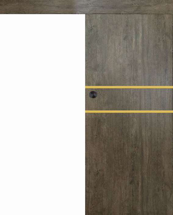 Posuvné dveře na stěnu VASCO Doors - REGO 2