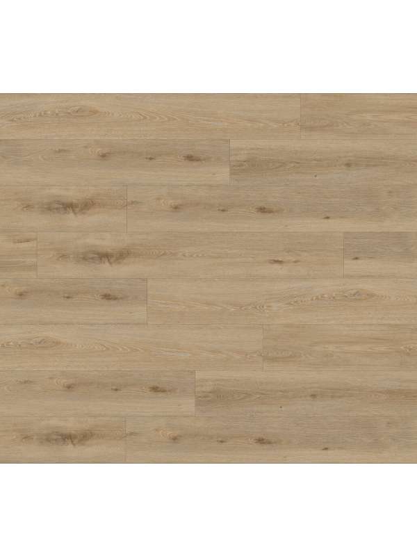 Gerflor - CREATION 55 Click Acoustic - 1707 AQUINOAH NATURE 1.84 m2/bal - kompozit