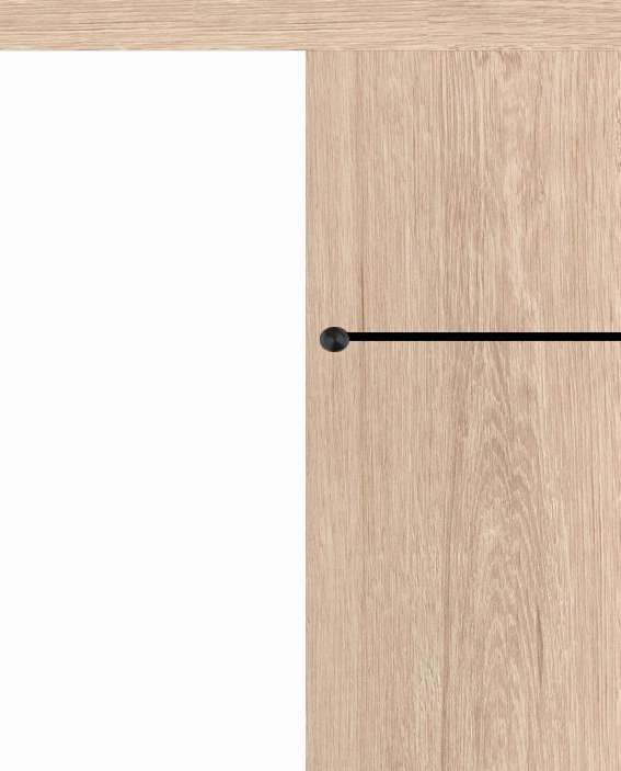 Posuvné dveře na stěnu VASCO Doors - REGO 1