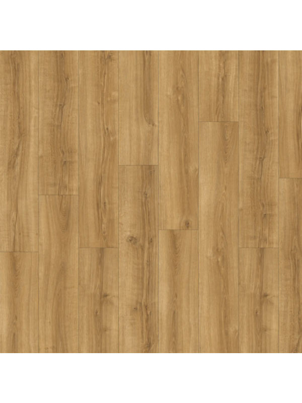 IVC Avvio - Summer Oak 22565 - vinyl k lepení