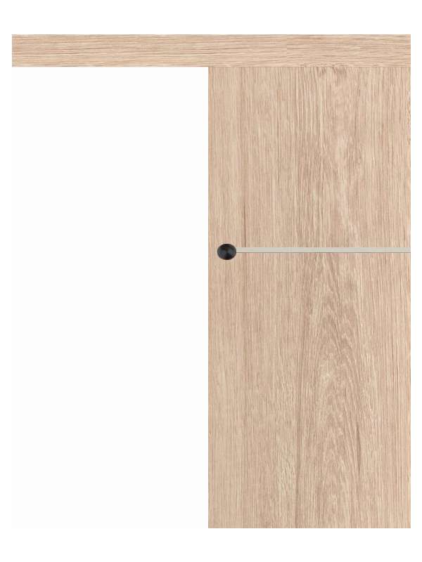 Posuvné dveře na stěnu VASCO Doors - REGO 1