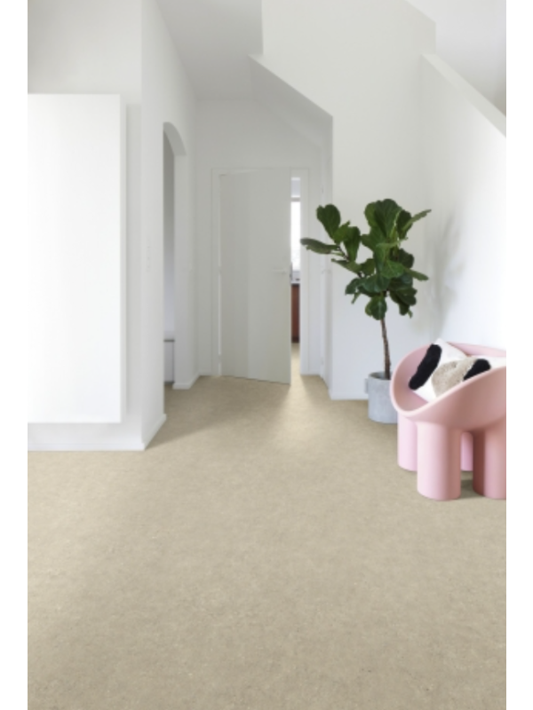 PVC FORTEX 2026 2m / 3m / 4m
