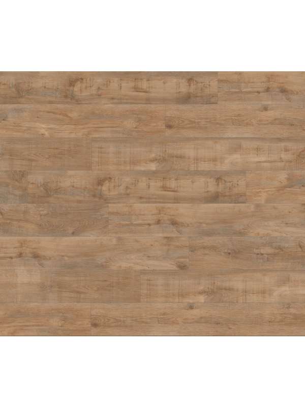 Gerflor - CREATION 55 Click Acoustic - 1708 SAVAGE OAK GREIGE 1.84 m2/bal - kompozit