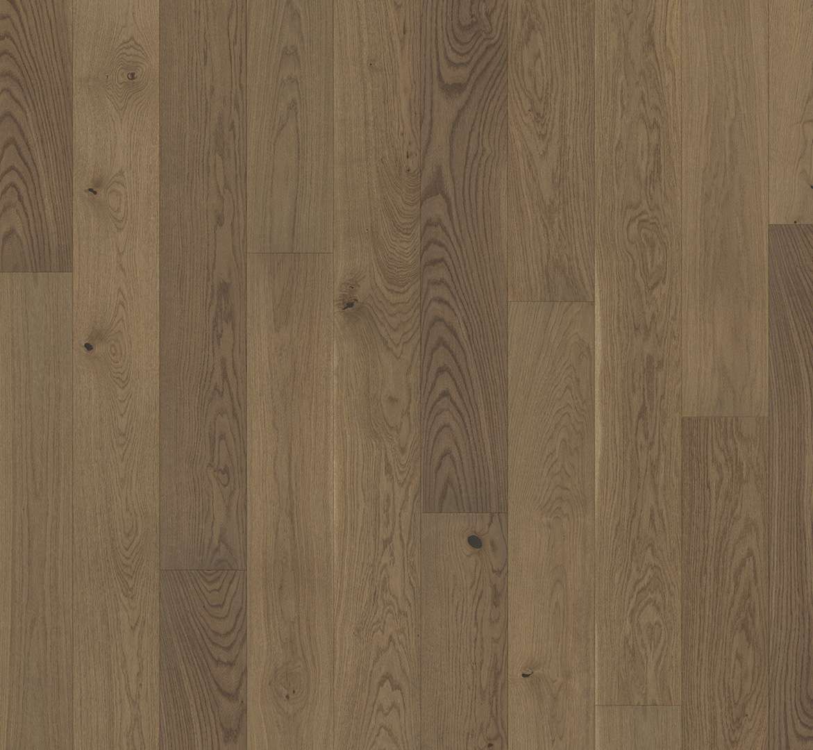 PARADOR Trendtime 4 (Dub nougat - Living - lak) 1739938 - dřevěná třívrstvá podlaha