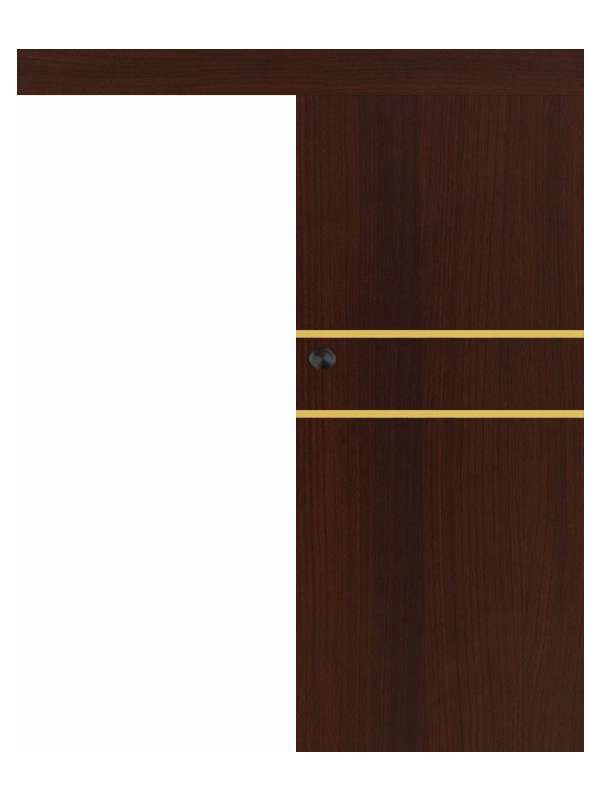 Posuvné dveře na stěnu VASCO Doors - REGO 2