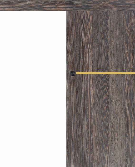 Posuvné dveře na stěnu VASCO Doors - REGO 1