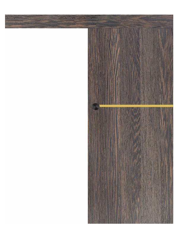 Posuvné dveře na stěnu VASCO Doors - REGO 1