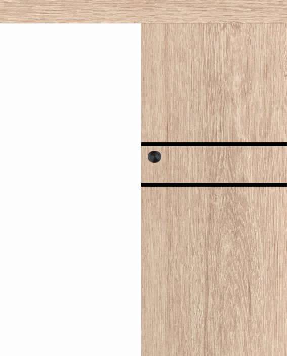 Posuvné dveře na stěnu VASCO Doors - REGO 2