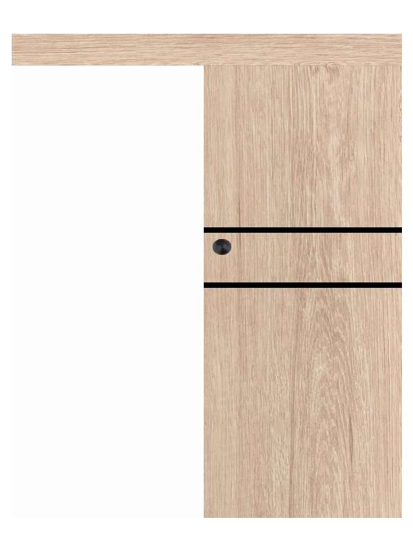 Posuvné dveře na stěnu VASCO Doors - REGO 2