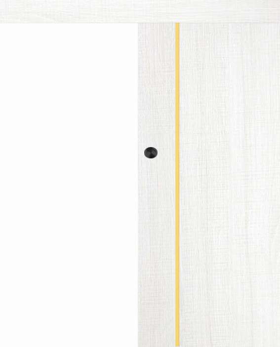 Posuvné dveře na stěnu VASCO Doors - REGO 3