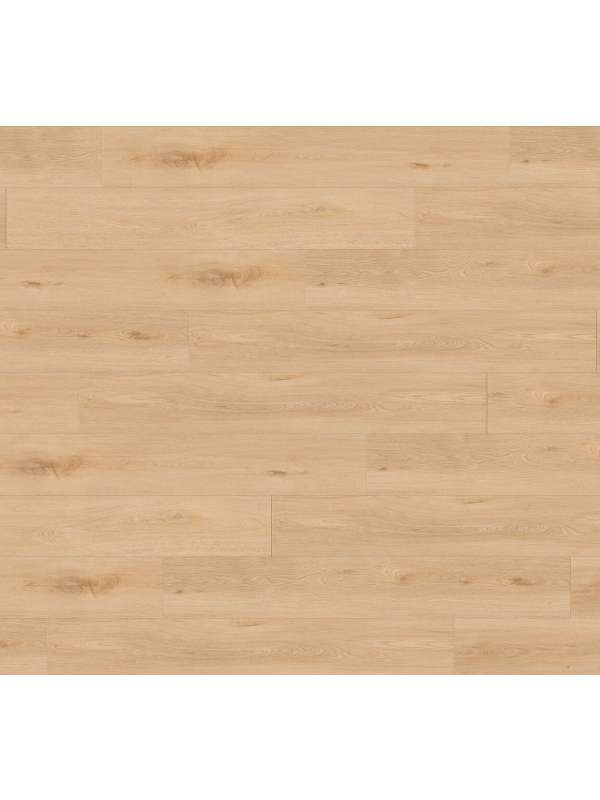 Gerflor - CREATION 55 Click Acoustic - 1704 AQUINOAH BLOND 1.84 m2/bal - kompozit