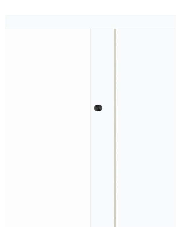 Posuvné dveře na stěnu VASCO Doors - REGO 3