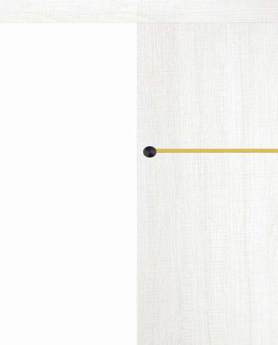 Posuvné dveře na stěnu VASCO Doors - REGO 1