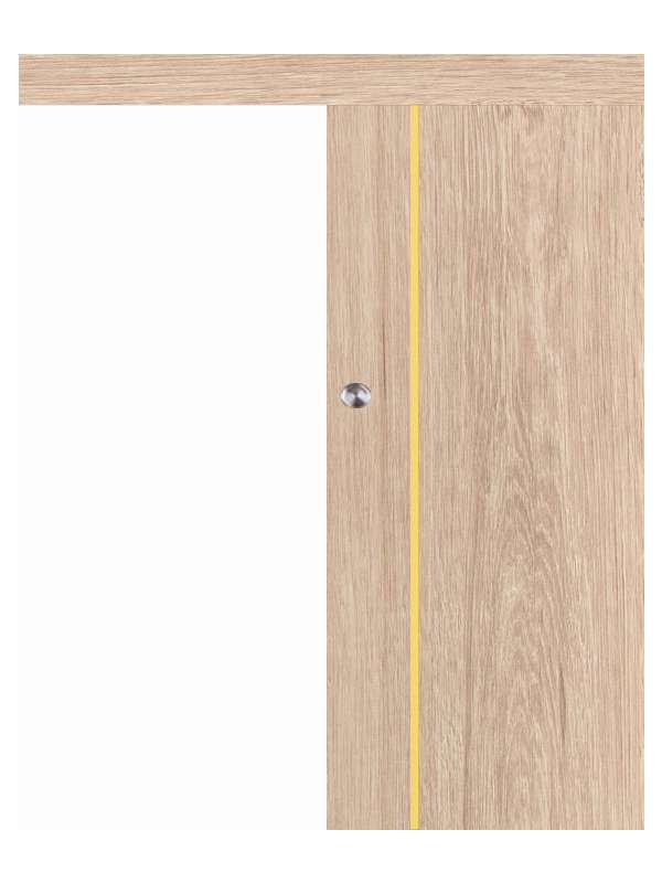 Posuvné dveře na stěnu VASCO Doors - REGO 3