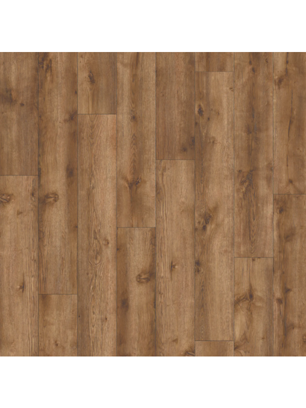 IVC Avvio - Major Oak 24847 - vinyl k lepení