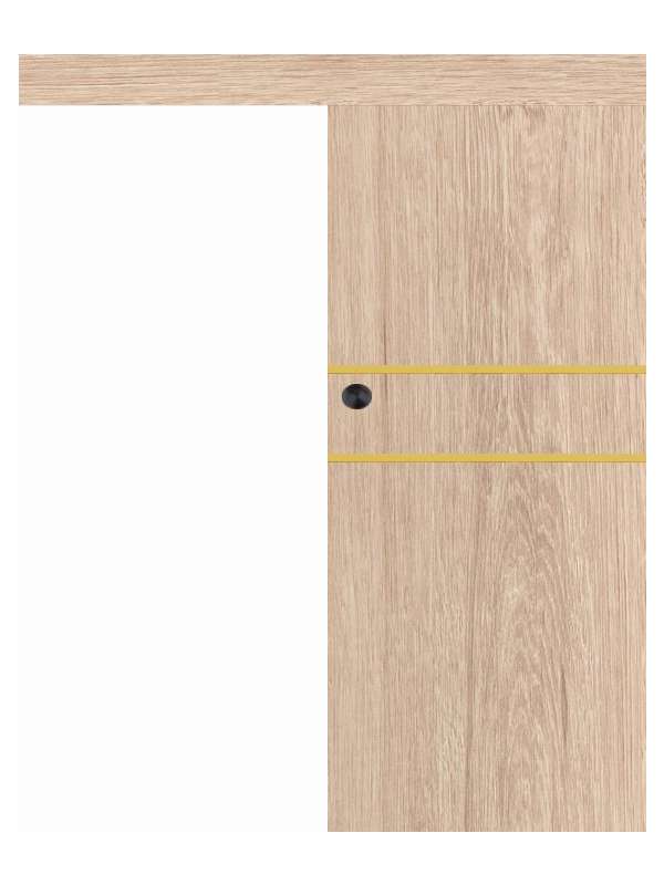 Posuvné dveře na stěnu VASCO Doors - REGO 2