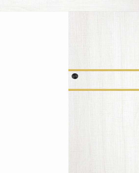 Posuvné dveře na stěnu VASCO Doors - REGO 2