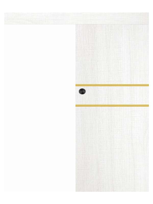 Posuvné dveře na stěnu VASCO Doors - REGO 2