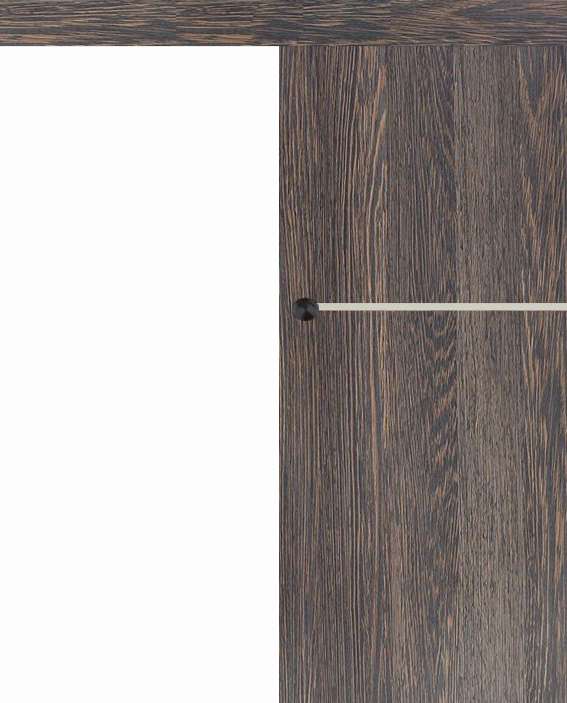 Posuvné dveře na stěnu VASCO Doors - REGO 1