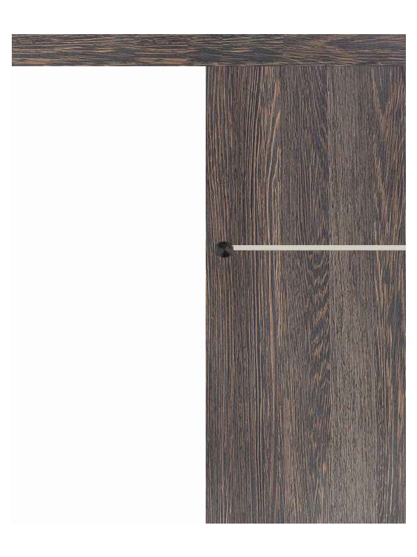 Posuvné dveře na stěnu VASCO Doors - REGO 1