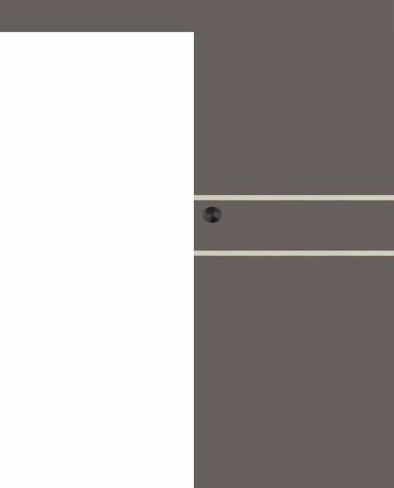 Posuvné dveře na stěnu VASCO Doors - REGO 2