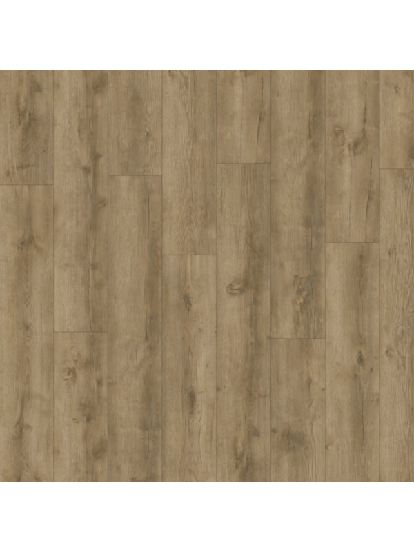IVC Avvio - Major Oak 24863 - vinyl k lepení