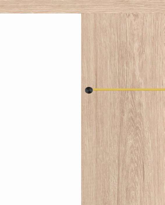 Posuvné dveře na stěnu VASCO Doors - REGO 1