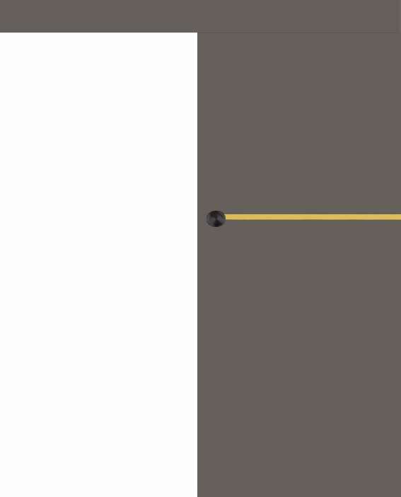 Posuvné dveře na stěnu VASCO Doors - REGO 1