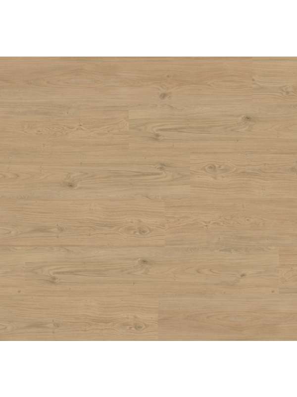 ASPECTA SOLID 0,30 (Throne) GD3020PL40405 - lepený vinyl