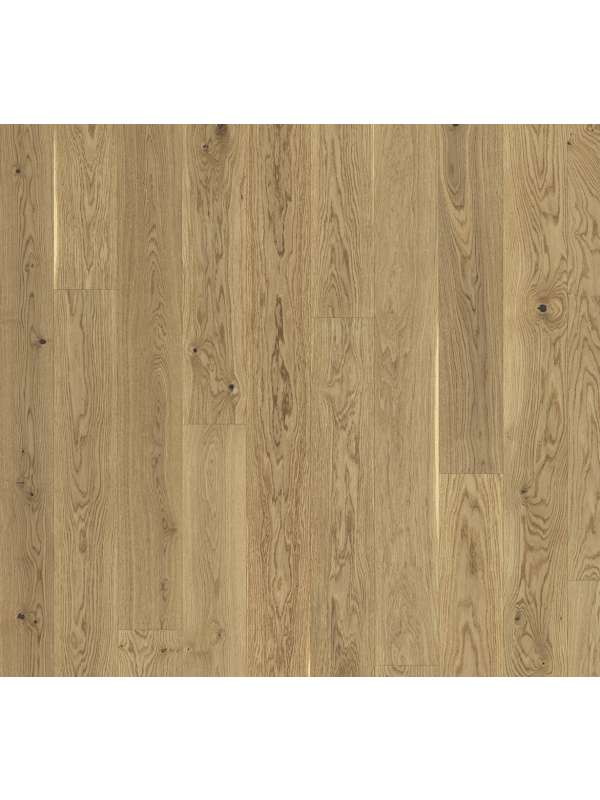 PARADOR Trendtime 4 (Dub cream - Living - lak) 1739937 - dřevěná třívrstvá podlaha