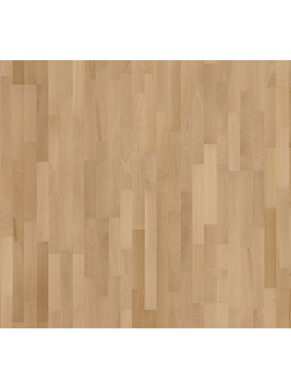 PARADOR Classic 3060 (Buk - Natur - lak) 1518088 - dřevěná třívrstvá podlaha