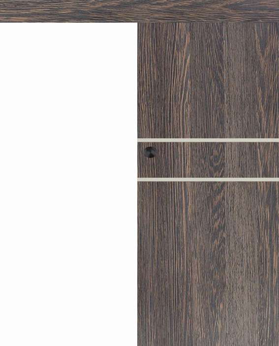 Posuvné dveře na stěnu VASCO Doors - REGO 2