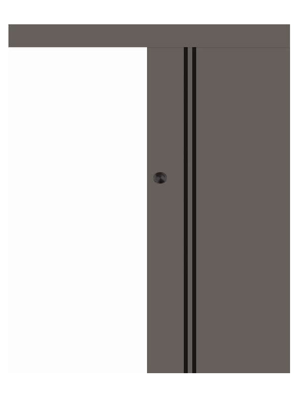 Posuvné dveře na stěnu VASCO Doors - REGO 4