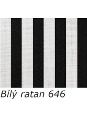 Snímek obrazovky 2026-01-16 100743