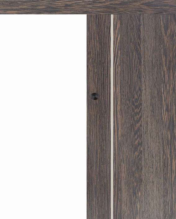 Posuvné dveře na stěnu VASCO Doors - REGO 3