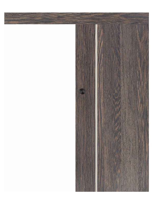 Posuvné dveře na stěnu VASCO Doors - REGO 3