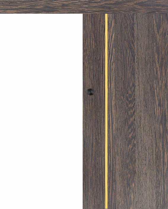 Posuvné dveře na stěnu VASCO Doors - REGO 3