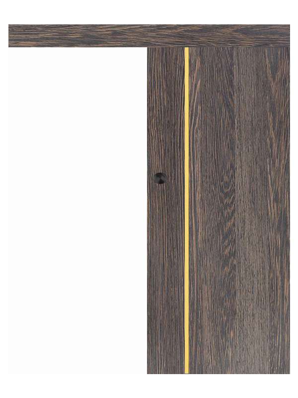 Posuvné dveře na stěnu VASCO Doors - REGO 3