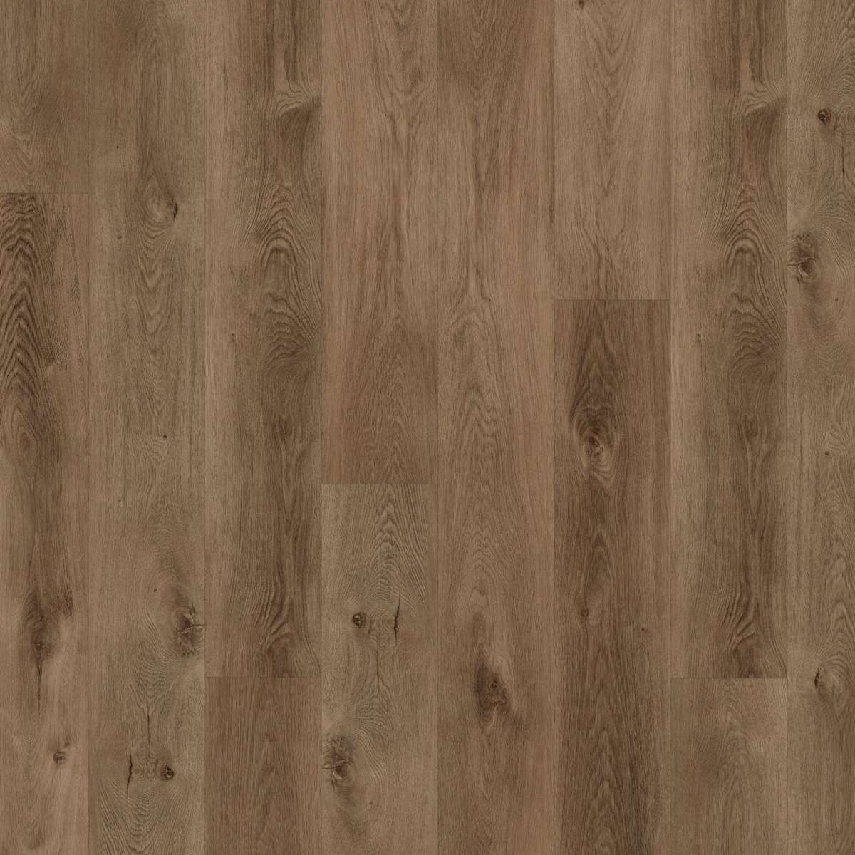 Eterna Projekt Vinyl 0,55 (Devon Oak) 55510976 - lepený vinyl