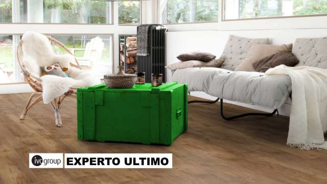 IVC_Experto_Ultimo