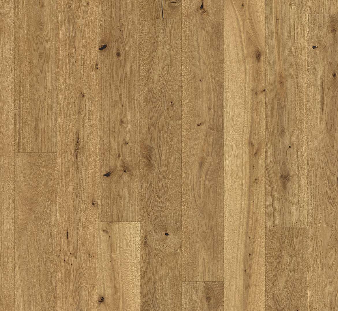 PARADOR Classic 3060 (Dub kartáčovaný - Rustikal - lak) 1739910 - dřevěná třívrstvá podlaha