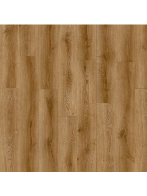 IVC Avvio - SandHill Oak 22866 - vinyl k lepení