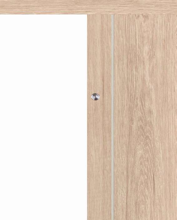 Posuvné dveře na stěnu VASCO Doors - REGO 3