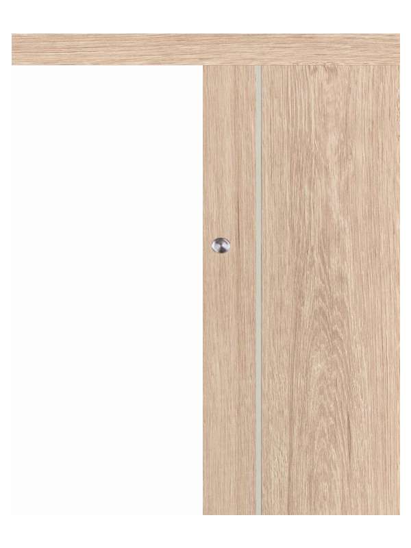 Posuvné dveře na stěnu VASCO Doors - REGO 3